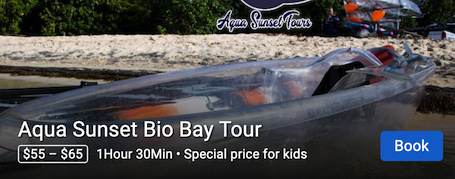 bio bay kayak tour vieques