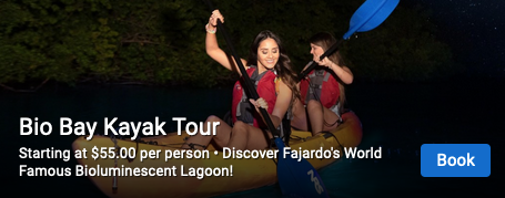 bio bay boat tour fajardo